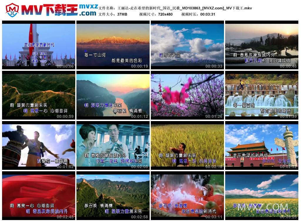 王丽达-走在希望的新时代_国语_民歌_MD103863